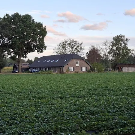 De Strijpse Hoeve, Ruime Woning In De Peel 别墅 Aarle-Rixtel